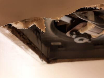 Professional emergency flood repair services in Cheyenne